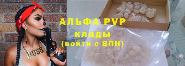 стаф Бикин