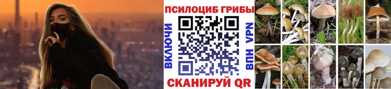 Псилоцибиновые грибы Psilocybine cubensis  сколько стоит  Балахна 